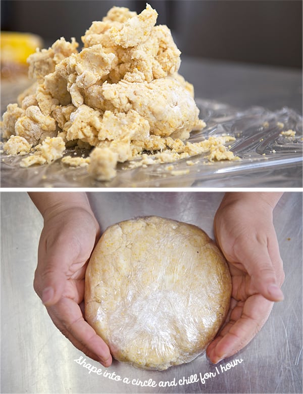 How-Dough-Texture-should-look-like-for-a-Crostata,-galette-or-free-form-pie
