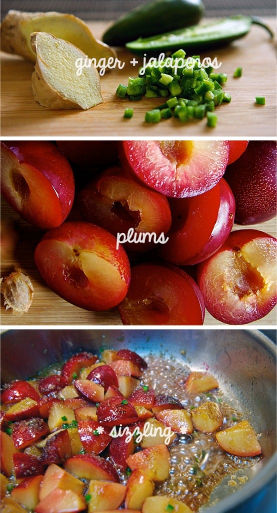 Dos Lunas Grilled Cheese & Plum Chutney Sandwich Yes, more please