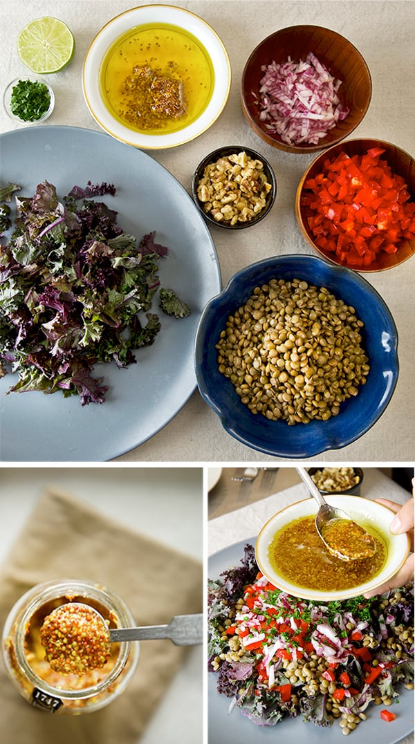 Kale-and-Lentil-Salad-with-Honey--Mustard-Vinaigrette_ingredients-layout