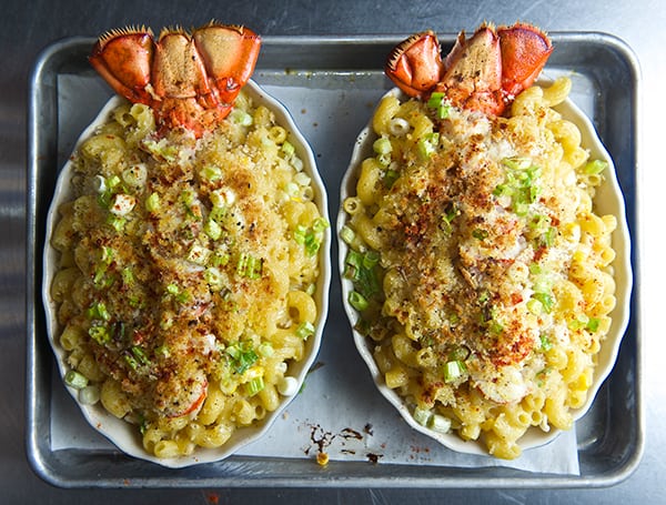 Lobster_Macaroni & Brie Cheese_oven tray