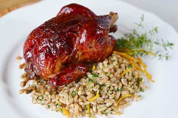 Hibiscus-Orange-Glazed-Cornish-Hens_Yes,-more-please!