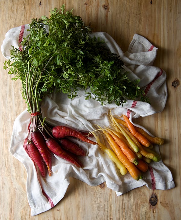 Roasted-Carrot-Salad-with-Hummus-Vinaigrette_red,-orange-and-yellow-Carrots