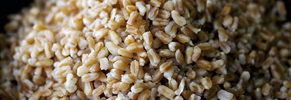 FARRO Texture