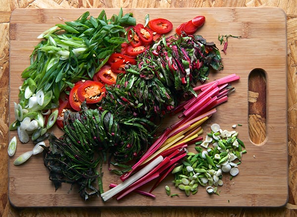 Rainbowchard-Korean-Pancakes-vegetables~Yes,-more-please!