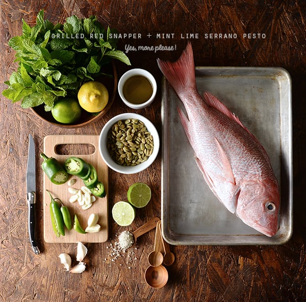 Grilled-Red-Snapper+Mint-and-serrano-pesto_ingredients