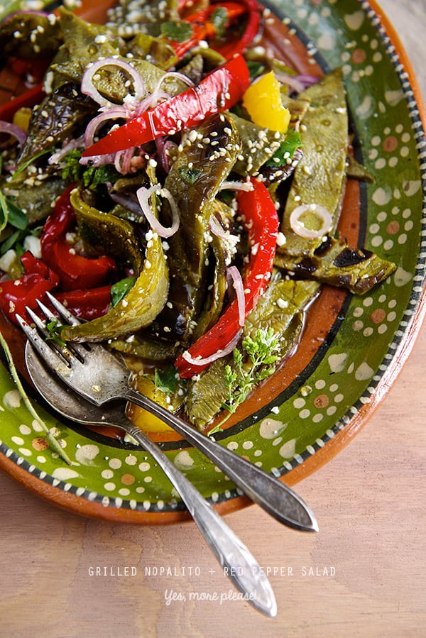 Nopalitos+RED-Pepper-Salad_Yes-more-please!