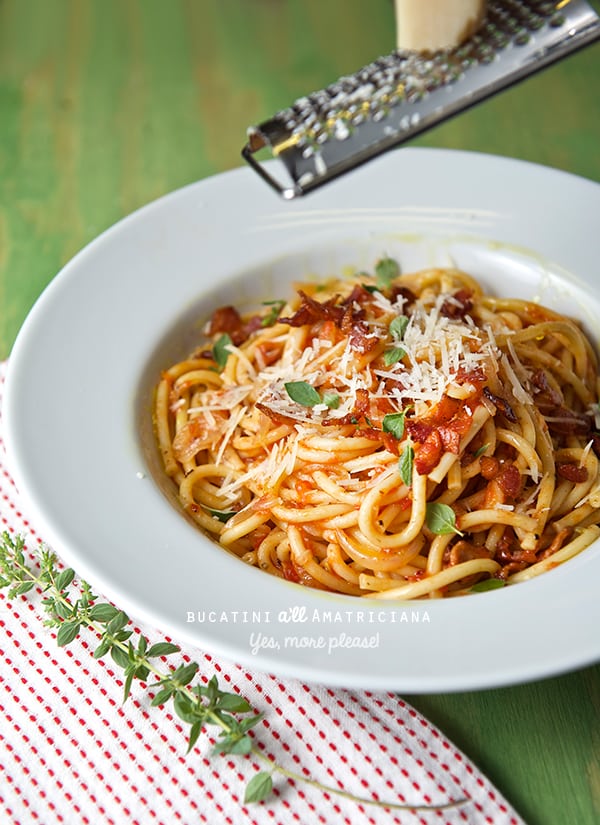 Bucatini-a'll-Amatriciana-with-pecorino-Romano_Yes,-more-please!