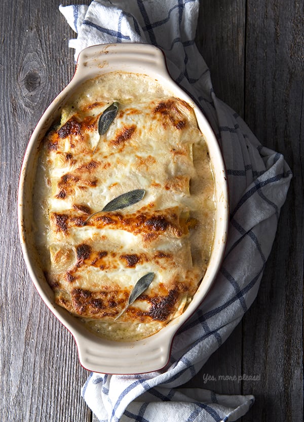 Butternut-Squash-Cannelloni-with-Walnut-Sage-Sauce_Yes,-more-please!