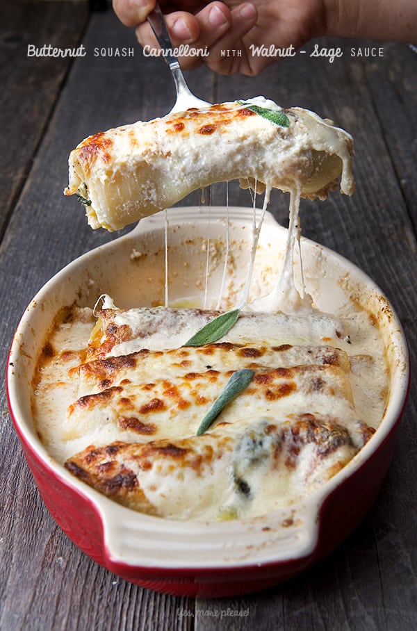 Butternut-squash-Cannelloni-with-Walnut-Sage-Sauce_Yes,-more-please!-