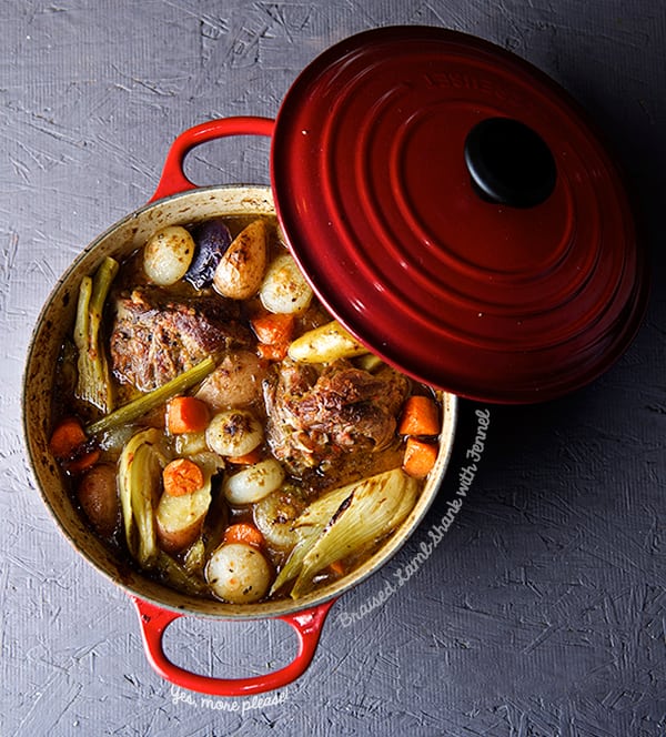 Braised-Lamb-Shanks-with-Fennel_Yes,-more-please!