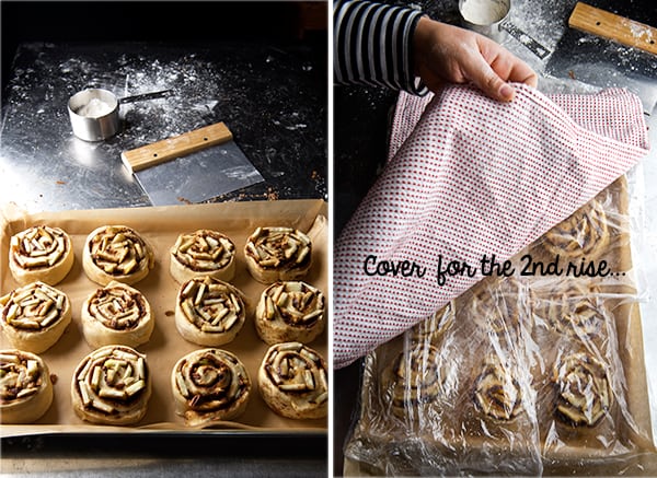 Apple-Cinnamon-Roll_ready-to-second-proof