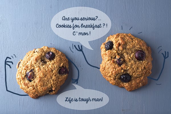 Oatmeal-Blueberry-Lemon-Breakfast-Cookies_cookie-talk_Yes, more please!