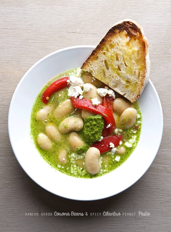 Rancho-Gordo-Corona-Beans-and-Spicy--Cilantro-Peanut-Pesto_Yes,-more-please!