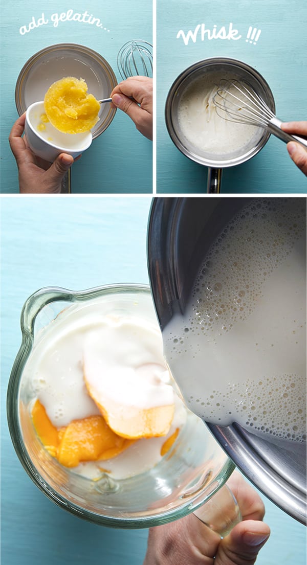 Yogurt-coconut-Mango-Panna-cotta_Mango-Blend