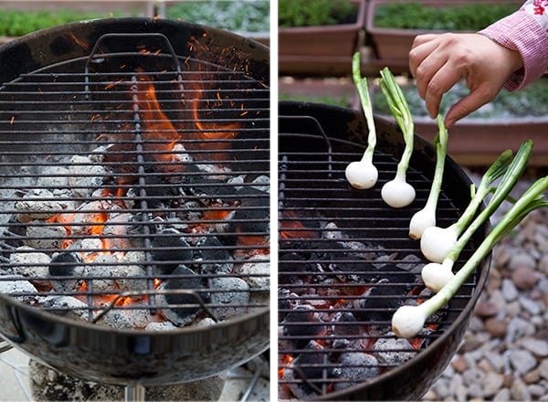 Carne-asada-grilling-onions_Yes,-more-please!