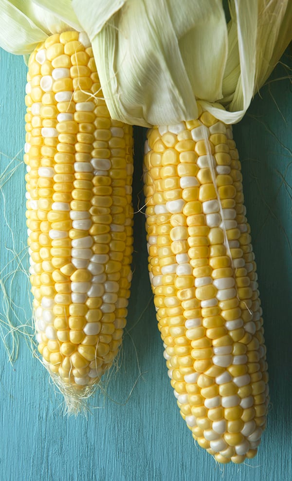 Peach-Sweet-Corn-and-Halloumi-Salad-with-Lemon-Basil-Vinaigrette_Texas-sweet-corn_Yes,-more-please!