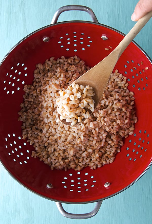 Sweet and Handsome Farro Salad_Cooked-Farro