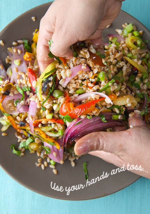 Sweet and Handsome Farro Salad_Toss-the-Salad