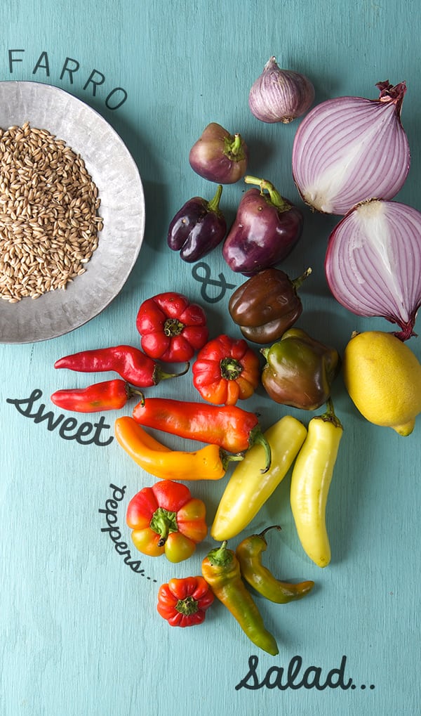 Sweet and Handsome Farro Salad_ingredients_Yes, more please!